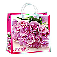 Пакет сумка 30*30*10см 114 BАМ (М) Антелла (Эрмита) / 10