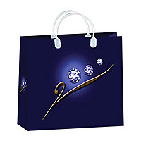 Пакет сумка 30*30*10см 28 BАМ (М) Антелла (Эрмита) / 10