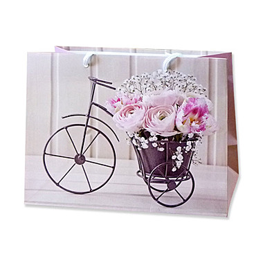 Пакет подарочный бумажный 22,9*17,8*9,8см (25761) (M) ГОРИЗОНТ Антелла (Эрмита) / 12