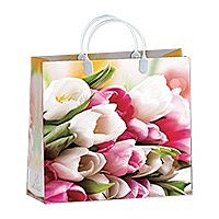 Пакет сумка 30*30*10см 146 BАМ (М) Антелла (Эрмита) / 10