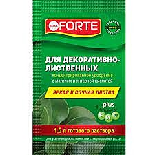 Бона Форте, Добрая сила